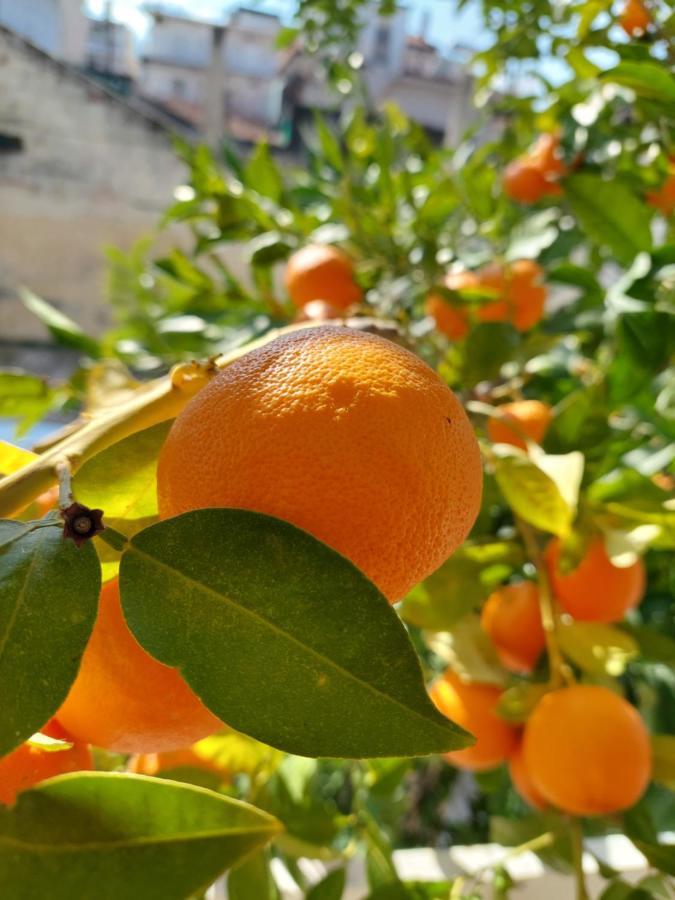 Orange Tree Apartment Asprovalta Zewnętrze zdjęcie